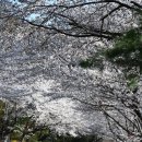 국도31호선(구) 이미지