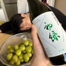 히든트랙브루잉 | KIBEX 2024 코엑스 맥주박람회 (라인도이치/히든트랙브루잉/하츠미도리 준마이다이긴죠 무로카 나마겐슈)