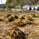 불곡고등학교 이미지