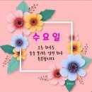 Elvis Presley ㅡCan't Help Falling In Love(난 사랑에 빠질 수 밖에 없어) 이미지