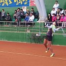 청주정구장(솔밭) 이미지