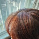 천연헤나염색
