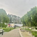 디자인사이트