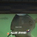 문아쿠아카페