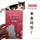 (주)제이에이치바이오팜 | 맛있는 건강 간식, 츄라잇 고양이츄르 영양제 체험기