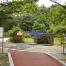 이송공인중개사사무소 이미지