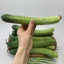 훈박이네
