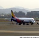 Asiana A320,A321 (신도장) 이미지
