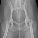 테크노연합 동물병원 이미지