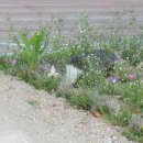 가평펜션 J스테이 이미지