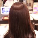 에코카클리닉 이미지