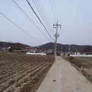 장등마을 - 1778 | 장등마을