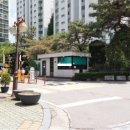 우성동백 이미지