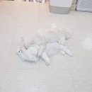 미예뜰미술학원 - 오산시 경기대로 74 | 미예뜰미술학원