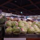 각화도매시장 광주채소 이미지