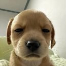 (주)모비아넷 | 꼭 할 게 많을 때만 블로그가 쓰고 싶더라_11월