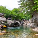 생태민박 이미지