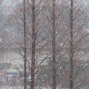 정원김치 이미지