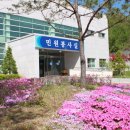 팔괴로2 이미지