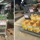 부석마트 이미지