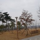 온정세무회계컨설팅 이미지