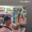 전 LG트윈스 모 선수 와이프 폭행.gif 이미지