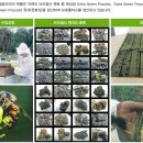 (주)하치노다카라코리아 네이버블로그
