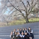 (주)홈가원 | #중간고사평가방식을포켓몬배틀로변경하라