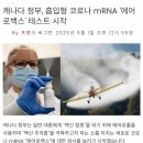 [일반] 캐나다, 흡입형 mRNA 백신 테스트 시작 이미지