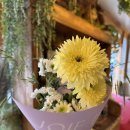 불러바노래연습장 이미지