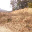 여주-1063 이미지