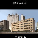 엘프라도 이미지