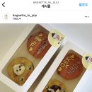 제주바개트 이미지