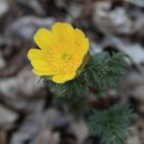 황전(순천) 이미지