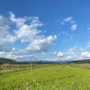 현내리 | 대구 달성군 카페 마르텐사이트 대구 근교 대형카페 딸기라떼 후기