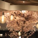 설빙고창점 이미지