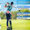 청룡골프 이미지