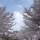 마라톤 티스토리