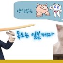 독도부동산