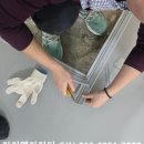 흡수 탄성마루 바닥공사 미끄럼 방지 매트 댄스플로어 시공, 아이엠아이디 CJN ( 화정동 댄스 무용학원 )