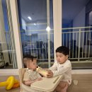 팔팔노래연습장 | 롯데리조트 속초 2박 3일 가족여행｜10개월 아기·4살 아이와 다녀온 후기