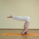 아쉬탕가 요가 이미지