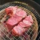 강동갈빗살