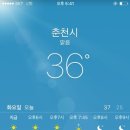 개랑 나들이 이미지