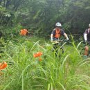 국논들길 | [용문역 동쪽 한바퀴] - 경기 양평군 용문역, 벗고개, 몰운고개, 갈운리(점심), 몰운고개, 국립양평지유...