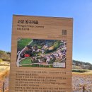 제7구경길 송지호둘레길 | 고성 7경인 송지호 둘레길 걷기(강원도 고성군 죽왕면 동해대로 6021)