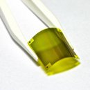 메타사이언스 이미지