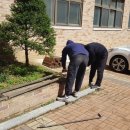 상록고등학교 이미지