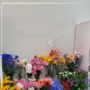 블루미미