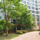 판교원로82번길 이미지